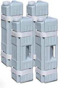 lot 8254 image: $229 Eurmax NOMATTER 10x10 Pop Up Canopy Tent & Water Weight Bag