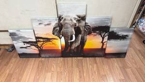 lot 23 image: 5 Piece Canvas Wall Art Set - Elephant Acacia Tree Landscape Photographs