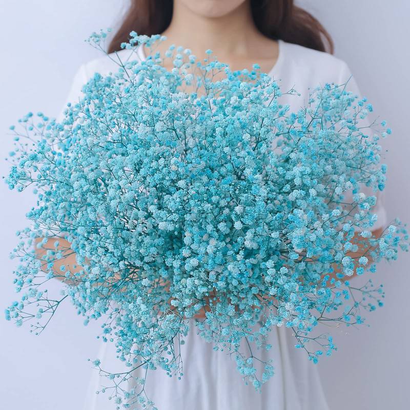 lot 1016 image: beerfingo Dried-Flowers-Babys-Breath-Bouquet-17.2 inch 2500 Flowers, Natural Gypsophila Branches for Home Decor, Wedding, Table Decor, DIY Wreath Floral, Dry Flowers Bulk for Vase (Blue) Retail $11.99