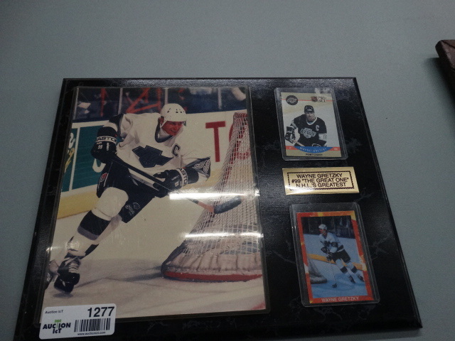 lot 1277 image: Wayne Gretzky #99