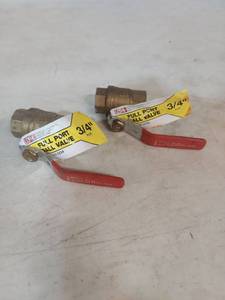 lot 1285 image: (2) LDR Full Port Ball Valve 34 inch FIP