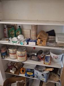 lot 1125 image: All Remaining on Shelves - Home Maintenance Items