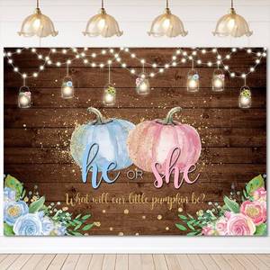 lot 3040 image: Mocsicka Pumpkin Gender Reveal Backdrop Little Pumpkin He or She Pink or Blue Background Rustic Wood Fall Gender Reveal Party Cake Table Decoration Banner Photo Booth Props (7x5ft)