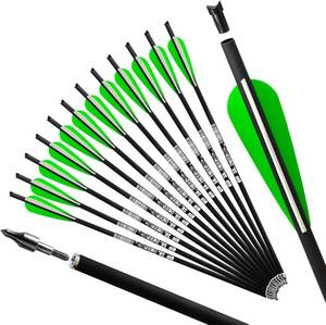 lot 3042 image: REEGOX Crossbow Bolts 20 inch Bio Crossbow Arrows with Moon Nocks and Removable Tips (Pack of 12)