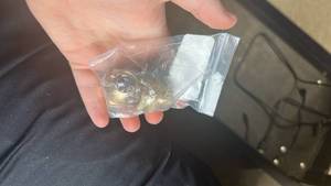 lot 60250 image: Brass Garden Hose Connectors 2 Pack - Retail $0