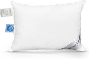 lot 1471 image: Continental Bedding Child Pillow - Firm 550 White Down Fill Soft Pillow for Sleeping, Plush Kids Pillow, Machine Washable - Pillow (13x18 Inch) - Retail $60