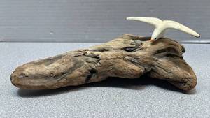 lot 7805 image: Seagull Figurine on Driftwood Base