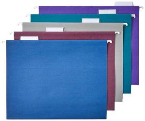 lot 18886 image: Amazon Basics Hanging File Folders with Adjustable Tabs for Document Organization, Letter Size, Assorted Jewel-Tone Colors, 25-Pack
