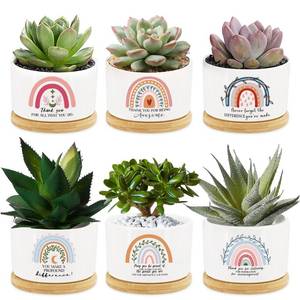 lot 18918 image: Tarklanda 6Pcs Thank You Teacher Gift Rainbow Succulent Plant Pots Mini Ceramic with Bamboo Tray Flower Pot Planters for Colleague Employee Friend Appreciation Thanksgiving, Plants Not Included MISSING 4 BOTTOMS - Retail $27