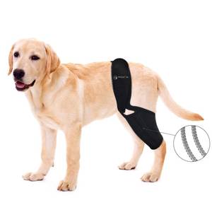 lot 60118 image: BaoGuai Knee Brace for BFWSY - Retail $6,470