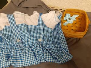 lot 476 image: Size 140 Wizard of Oz Dorothy Outfit - Retail $0