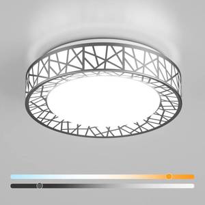 lot 46821 image: 12 Inch Flush Mount Ceiling Light, Modern Brushed Nickel LED Ceiling Light Fixture, 20W 1400LM 2700-6500K Adjustable, Dimmable Ceiling Lights for Bedroom, Kitchen, Hallway, Bathroom, ETL - Retail $40