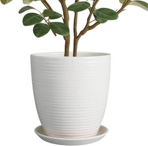 lot 1532 image: $47 10 Inch Ceramic Planter Pot with Drainage Hole and Saucer, White