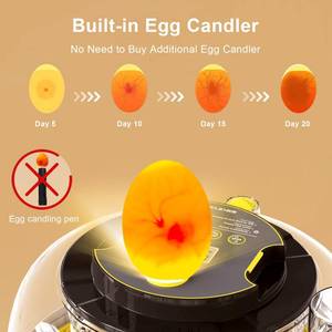 lot 58644 image: Incubator for Hatching Eggs-18 Egg Capacity, Newly Upgraded Automatic Egg Turner, Temperature & Humidity Control, 360° Viewing for Chicken, Duck and Quail Eggs (Black) - Retail $70