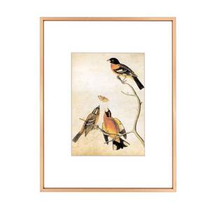 lot 58714 image: 8.5x11 Picture Frame, Gold Metal Photo Frames with HD Glass, Fits 5x7 with Mat or 8.5 x 11 without Mat, Display for Wall and Table, 1 Pack - Retail $16