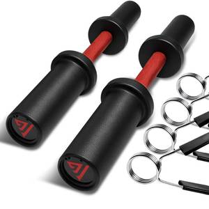 lot 835 image: 16 Olympic Dumbbell Handle, Loadable Dumbbells for 2-inch Olympic Weight Plates, Dumbbell Bar for Home Gym Strength Training, 2 Pair of Spring Collars Included - Retail $60