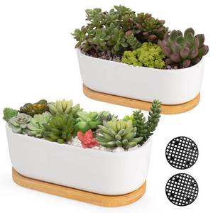 lot 84 image: MISSING BAMBOO PLATES ARVINKEY White Ceramic Succulent Plant Pots, Indoor and Outdoor Succulent Planters, Set of 2 Small Cactus Containers, Bonsai Pots, Flower Pots with Drainage Hole and Bamboo Bowl (No Plant) - Retail $562
