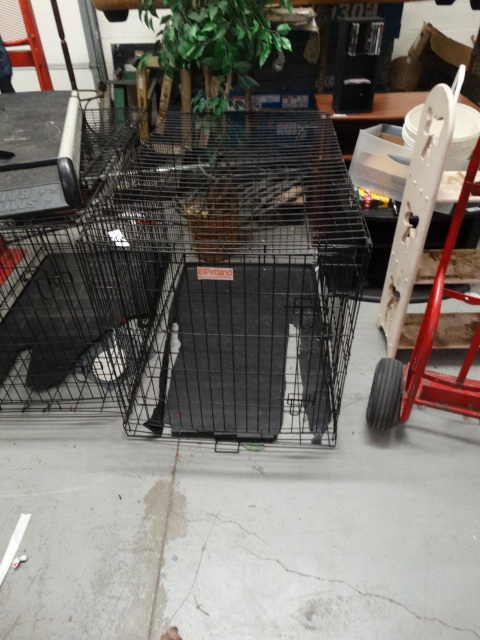 lot 1693 image: Large Petland Dog Crate