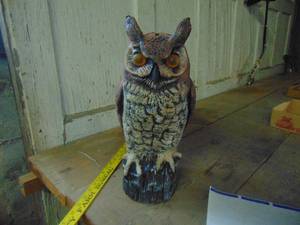 lot 4701 image: Owl Decoy