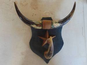 lot 4807 image: Horn Decor