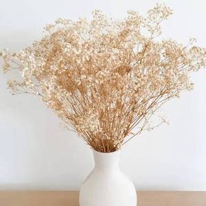 lot 72907 image: Dried Flowers Babys Breath Flowers Bouquet with Lights,17.2 inch Natural Ivory Bulk Flowers Real Gypsophila Branches for Home Wedding Wreath Floral Boho Decor Dry Flowers for Vase (Beige) - Retail $9