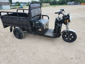 lot 360 image: SDLANCH Electric Tricycle  ET13  Black