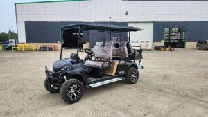 lot 305 image: SDLANCH 2026 6-Passenger Golf Cart  HQ100  Black