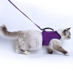 lot 4447 image: Yizhi Miaow Cat Harness and Leash for Walking Escape Proof Breathable Mesh Fabric, Purple, Extra Large, Adjustable Cat Walking Jackets with Handle, Padded Stylish Cat Vest