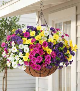 lot 4508 image: HyeFlora Artificial Hanging Flowers Faux Plants Basket for Outdoors Spring Decor, Fake Silk Morning Glory with Eucalyptus in Planter UV Resistant Outdoor Flowers for Outside Porch Patio Garden Home