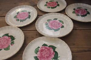 lot 1772 image: Vtg. W.S. George Dinner Plates