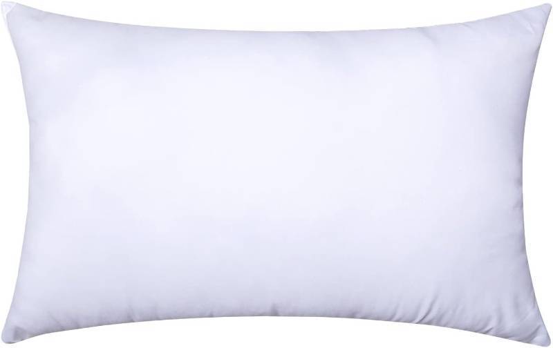lot 20972 image: MIULEE Throw Pillow Insert Premium Pillow Stuffer Sham Rectangle for Decorative Cushion Bed Couch Sofa 12x20 Inch
