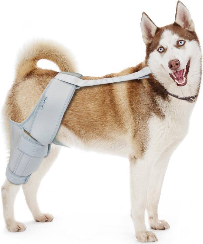 lot 21695 image: Dog Knee Brace for Torn ACL & Hind Leg Support   Adjustable Dog Hip & Leg Brace for Cruciate Ligament, Arthritis Relief, Joint Stability & Injury Recovery, Color Silver, Size 2X-Large