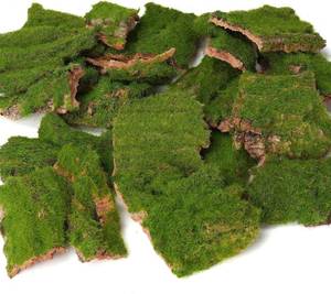 lot 18928 image: Assorted Artificial Moss Bark, Decorative Mossy Tree Bark for DIY Crafts, Fairy Gardens, Terrariums, Floral Arrangements (Realistic Green - 100gr)