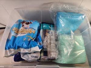 lot 181 image: Dog Diapers Training Pads &amp Male Wraps Mixed Lot Top Paw, Up&ampUp, Honey Care