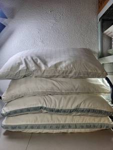 lot 185 image: Serta Standard Pillows with Patterned Trim