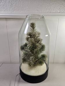 lot 311 image: Bee & Willow LED Tree Terrarium