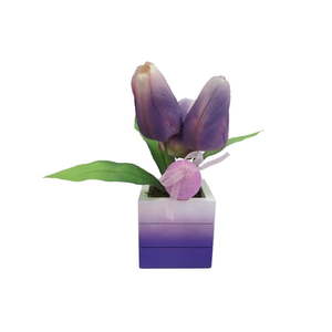 lot 440 image: Way To Celebrate Purple.