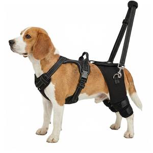 lot 17724 image: Dog Knee Braces for Torn ACL Hind Leg, Adjustable Dog Leg Braces for Back Leg with 4 Stabilizers for Luxating Patella Relieves Ligament Injury and Joint Pains - Retail $115