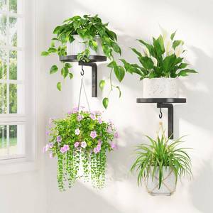 lot 17770 image: LASZOLA Plant Hangers Holder Wall Mounted Indoor, Metal Window Plant Shelves, 2Pcs Modern Floating Flower Display Stand with 2 Hooks for Outdoor Kitchen Bathroom Decor, Black - Retail $16