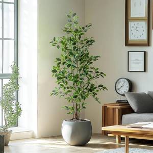 lot 8533 image: $100 Bailikang 5ft Artificial Ficus Tree in Pot with Silk Leaves