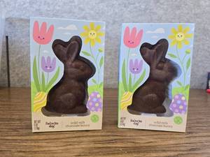 lot 8697 image: Two Pack FavoriteFay Solid Milk Chocolate Bunnies, 6oz