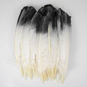 lot 263 image: 10PCS Natural Turkey Feathers