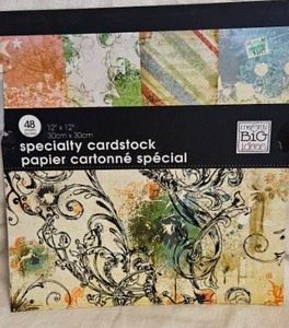 lot 322 image: Specialty Cardstock Scrapbook Paper Pad&nbsp