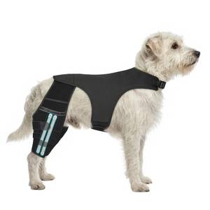 lot 2066 image: GoGoPaw Adjustable Dog Knee Brace for ACL Tear and Arthritis Recovery - Dual Hind Leg Support with Harness Connection - Orthopedic Leg Brace for Joint Stability and Pain Relief in Dog (X-Large) - Retail $80