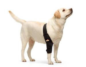 lot 2217 image: NeoAlly Dog Elbow Brace Protector Pads for Canine Elbow and Shoulder Support Elbow Hygroma, Dysplasia, Osteoarthritis, Elbow Calluses, Pressure Sores and Shoulder Dislocation (Right Leg, Large) - Retail $50