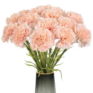 lot 1845 image: Rzoukler Light Pink Carnations Fake Flowers 15PCS Silk Carnations Artificial Flowers 20.47 Long Stems Faux Flowers Bulk for Wedding Bridal Bouquets, DIY Crafts, Home Party Garden Decor(Light Pink) - Retail $20
