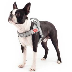 lot 13700 image: pangdi No Pull Dog Harness with Handle, Boston Terrier Adjustable Reflective Dog Vest, Breathable Air Mesh Padded Pet Harness with Front Leash Clip for Small Medium Dogs, Light Grey, M - Retail $21