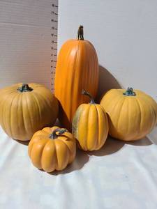 lot 3047 image: Pumpkin Decor