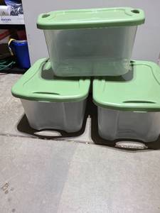 lot 3105 image: 3 Sterilite totes with lids