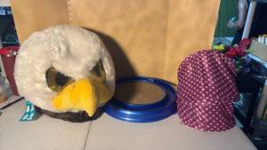 lot 3311 image: Maskimals Eagle Plush Head, Cat Tunnel Toy, and Cat Scratch Pad